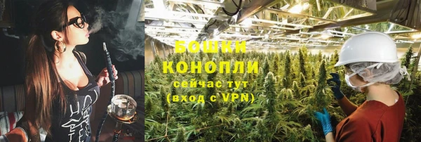 дживик Нягань