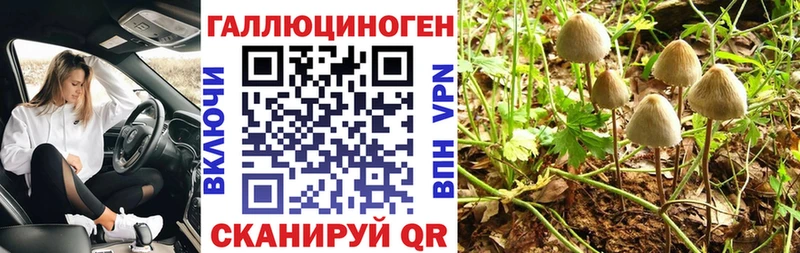 Галлюциногенные грибы Magic Shrooms  KRAKEN   Кадников 