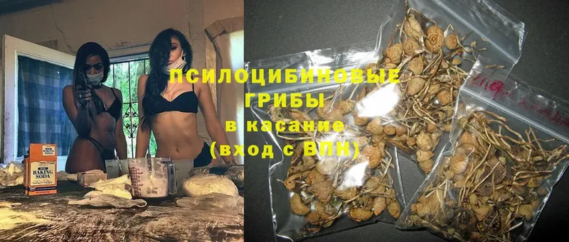 дарк нет формула  Кадников  Галлюциногенные грибы мухоморы 
